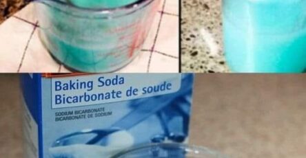 The Mixture That Will Make Your Home Smell So Wonderful