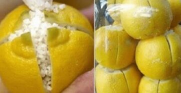 Here’s Why You Should Cut Lemons And Keep Them In Your Bedroom