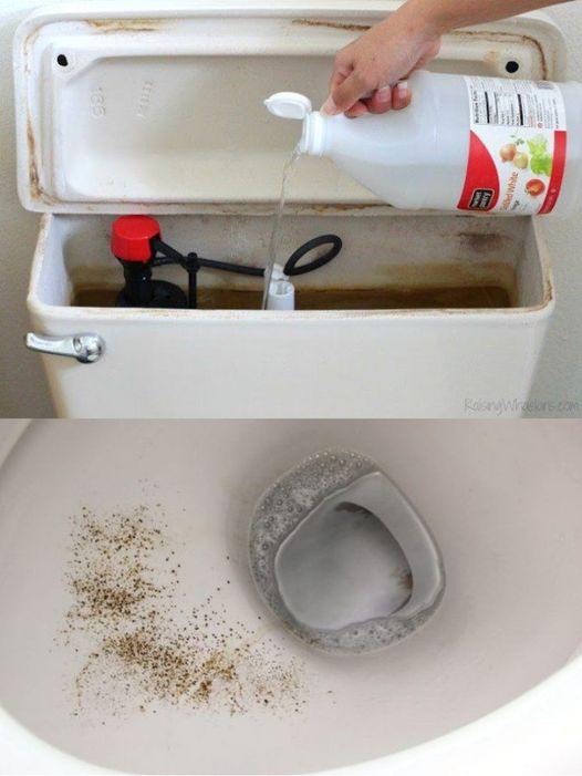 Why Pouring Vinegar Into Your Toilet Tank Is The Best Trick To Add To Your Routine
