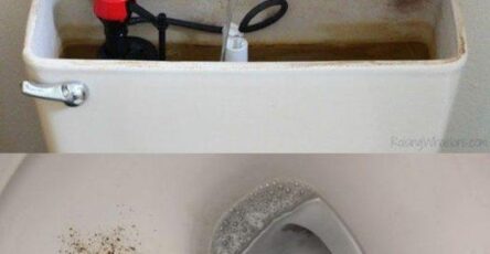 Why Pouring Vinegar Into Your Toilet Tank Is The Best Trick To Add To Your Routine