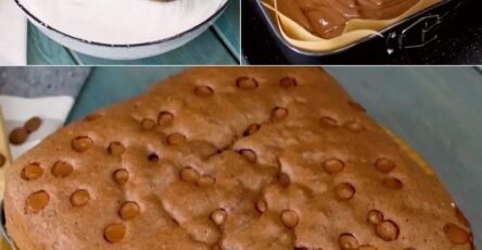 Castella Chocolate Cake