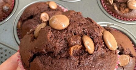Chocolate Muffins