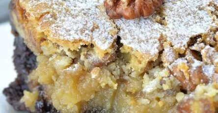 Chocolate pecan ooey gooey butter cake