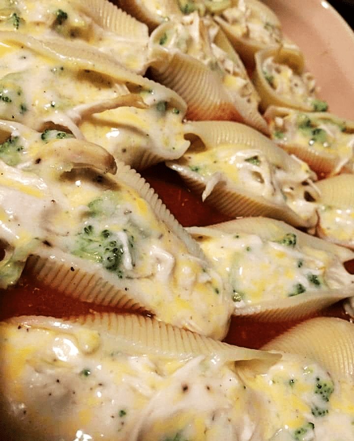 Chicken broccoli alfredo stuffed shells!