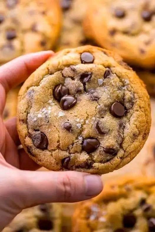 Homemade chocolate chip cookies