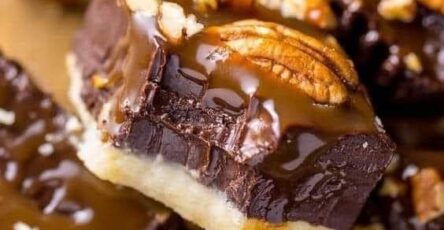 Salted caramel turtle fudge bars