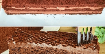 Chocolate sponge cake