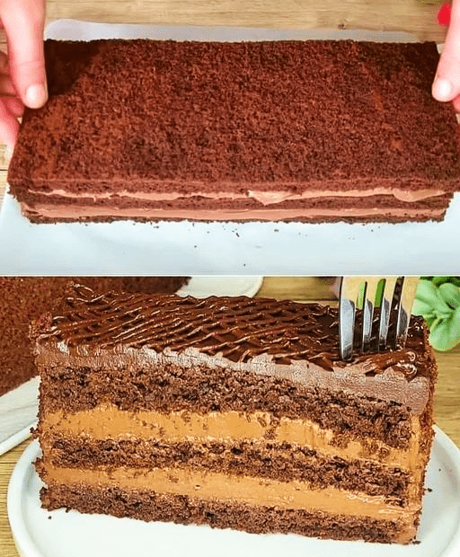 Chocolate sponge cake