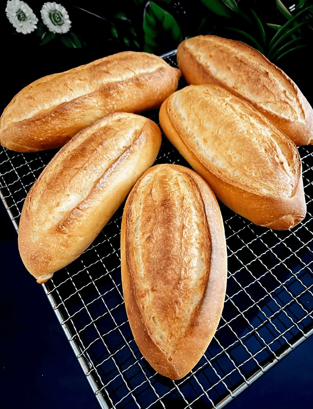 Easy homemad banh mi