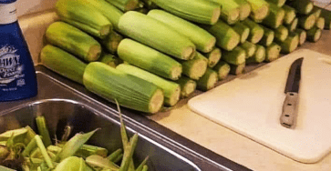 Freezing corn on the cob