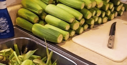Freezing corn on the cob