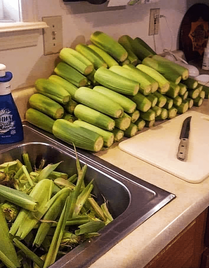 Freezing corn on the cob