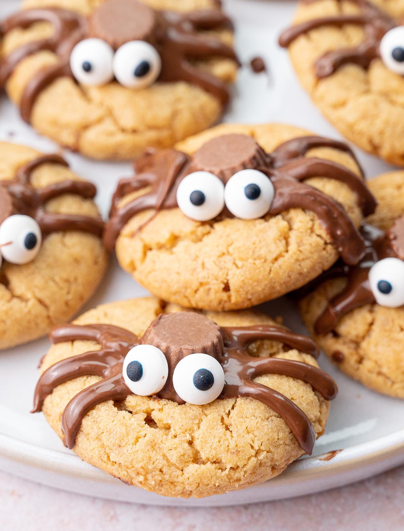Spider cookies