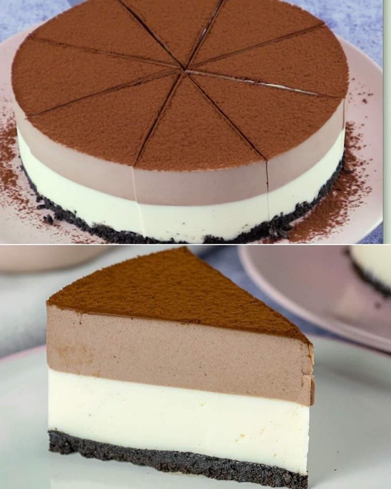 Double Layer Cheesecake The Secret To Making It Perfect