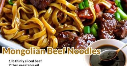 Mongolian Beef Noodles