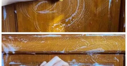 4 Tips To Remove Grease From Kitchen Cabinets