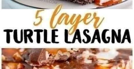 5 Layer Turtle Lasagna