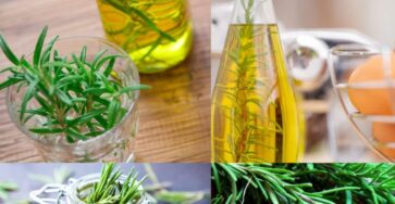 Making Rosemary Oil Is Very Simple, Delicious And Beneficial