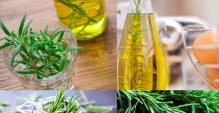 Making Rosemary Oil Is Very Simple, Delicious And Beneficial