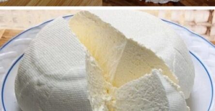 The Best Homemade Cheese