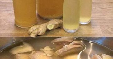 The Ginger Water Recipes