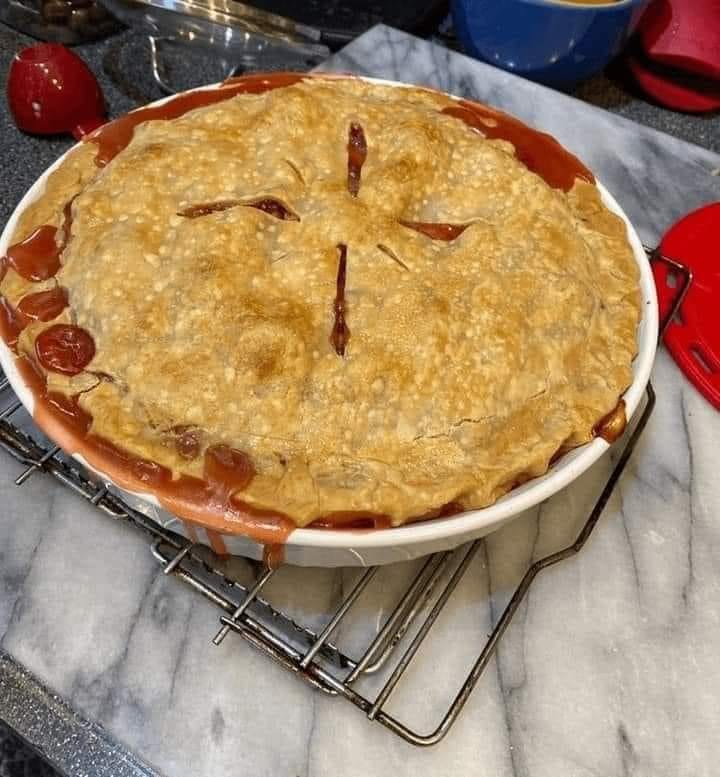 Strawberry rhubarb custard pie